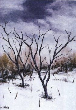 Eugenio Galiano. Neve a Camigliatello, 1980